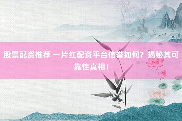 股票配資推薦 一片紅配資平臺信譽如何？揭秘其可靠性真相！