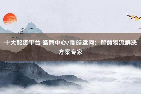 十大配資平臺 皓鼎中心/鼎皓運(yùn)網(wǎng)：智慧物流解決方案專家
