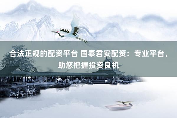 合法正規(guī)的配資平臺 國泰君安配資：專業(yè)平臺，助您把握投資良機(jī)